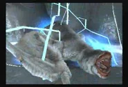 Khezu MH2