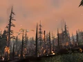 Howling Fjord Burning.jpg