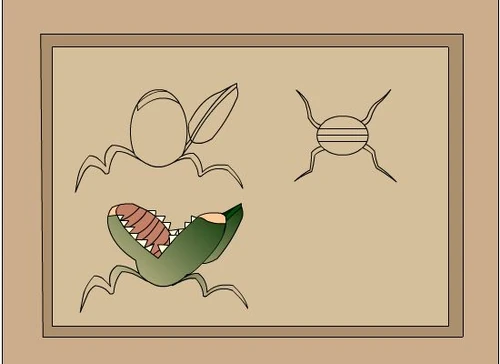 Drawn plants.jpg