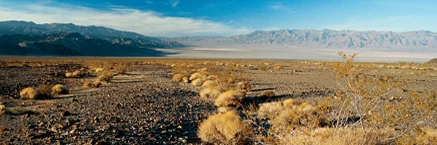 North american desert.jpg