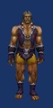BarbaricVest.jpg