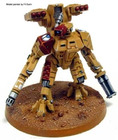 XV81
