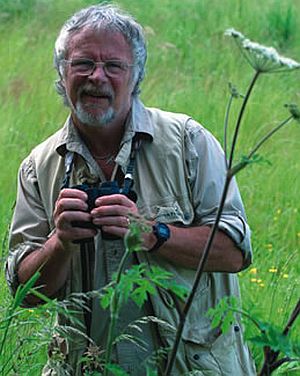 Billoddie