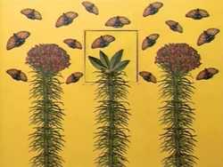 Flowerpattern2