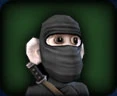 Ninja Monkey.jpg