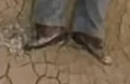 BenSahara2.jpg