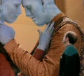 Bolians courting.jpg