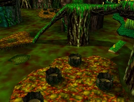 Bubblegloop Swamp entry