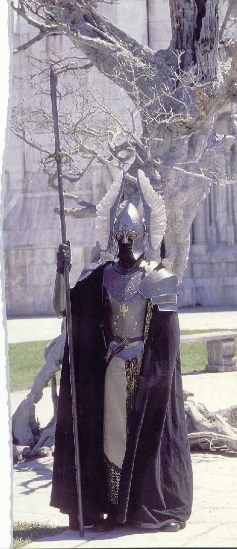Tower guard