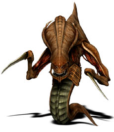 <img:http://images4.wikia.nocookie.net/__cb20080502233926/starcraft/images/f/fd/Hydralisk_SC1_Art1.jpg>