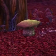 Fel Cone Fungus.jpg