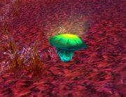 Ysera's Tear