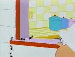 Antsonthewindow