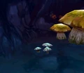 Lunar Fungal Bloom.jpg