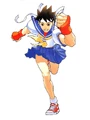 Sakura2SFA2