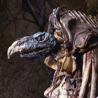 SkekTek