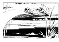 Spit Toad.jpg