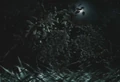 Dakala surface.jpg