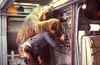 HanChewie-repairs