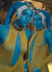 Twi`lek