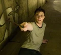 HarryOotP.jpg