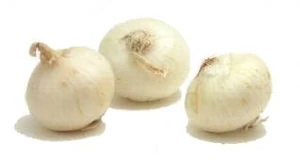BoilingOnions