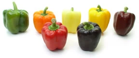 Bell Pepper
