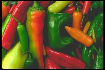Peppers.jpg