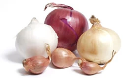 Onion