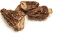 Mushroom morel