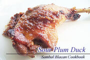 Sourplumduck