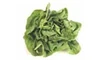 Lettuce butterhead