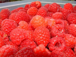 Raspberry
