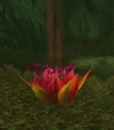 Cleansed Windblossom.jpg