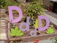 LetterGarden.D.jpeg