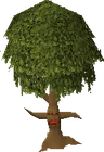 Normalent