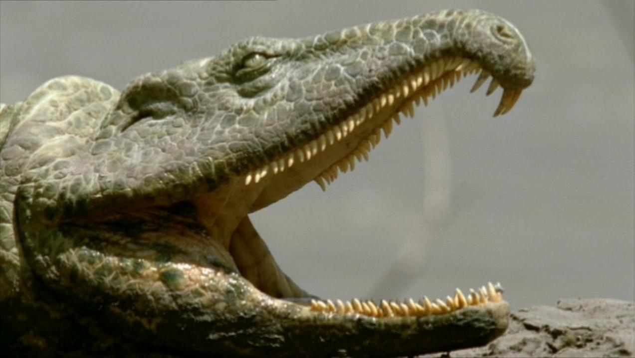 walking with monsters dinosaurs and beasts