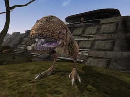 Normalguar