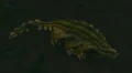 Sewer Crocolisk.jpg