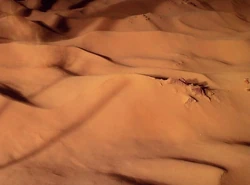 EYAkhDesert.jpg