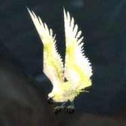 OpusWhite
