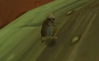 Snufflenose Gopher