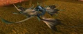 Dawnblade Dragonhawk.jpg