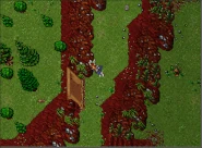 Areas and Places 3