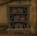 Berard's Bookshelf.jpg