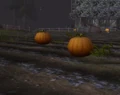 Tirisfal Pumpkin.jpg