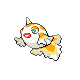 Goldeen DP variocolor hembra
