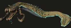 ColoClawFish.jpg