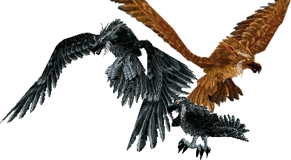 Stormcrows.png