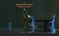 High Shaman Vohan.jpg